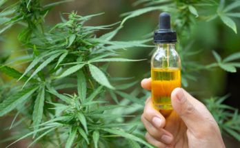 More About The CBD Oil Health Benefits