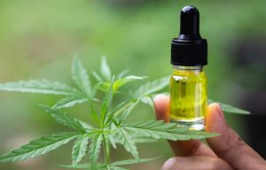 3 Things To Know Before Becoming a CBD Distributor