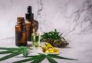 Unlocking Your Daily Potential: The Transformative Impact of CBD on Everyday Performance